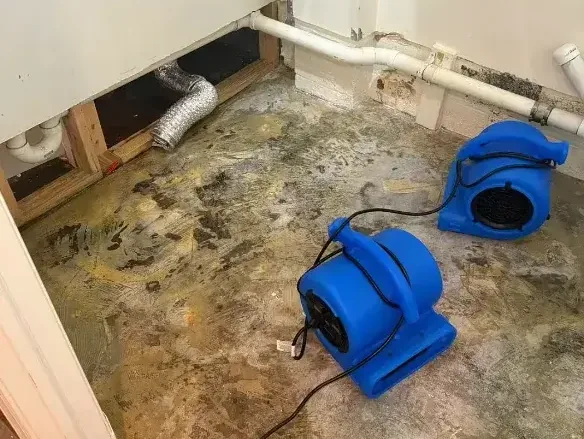 Air movers drying a bare subfloor after a pipe leak