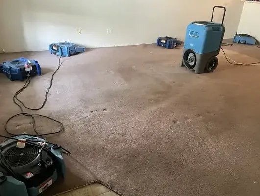 A dehumidifier and air movers drying wet carpet in a basement