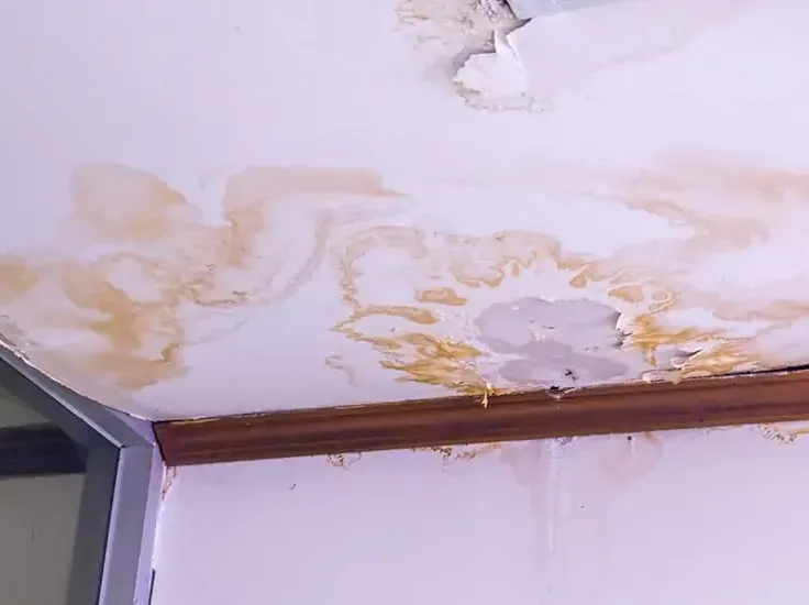 Water stains spreading across a ceiling below an overflowing attic AC drain pan