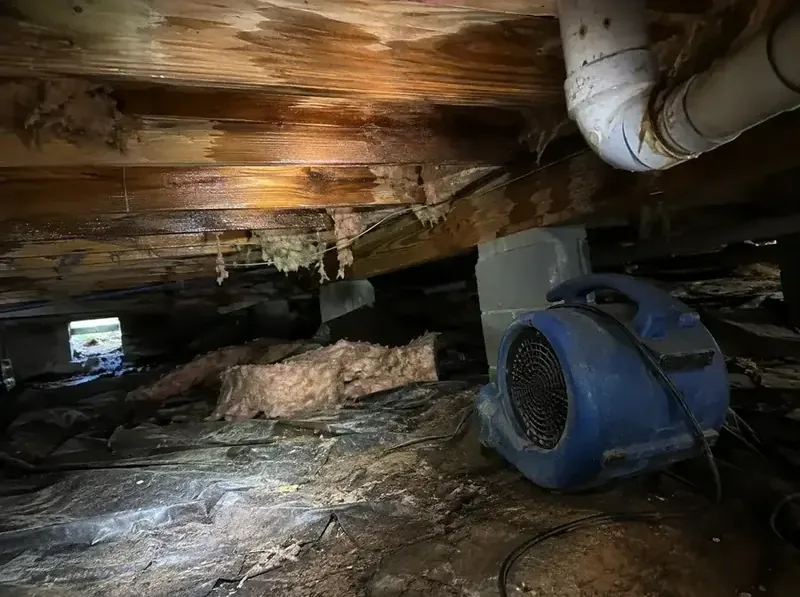 An air mover drying a wet crawl space with damaged insulation under a house