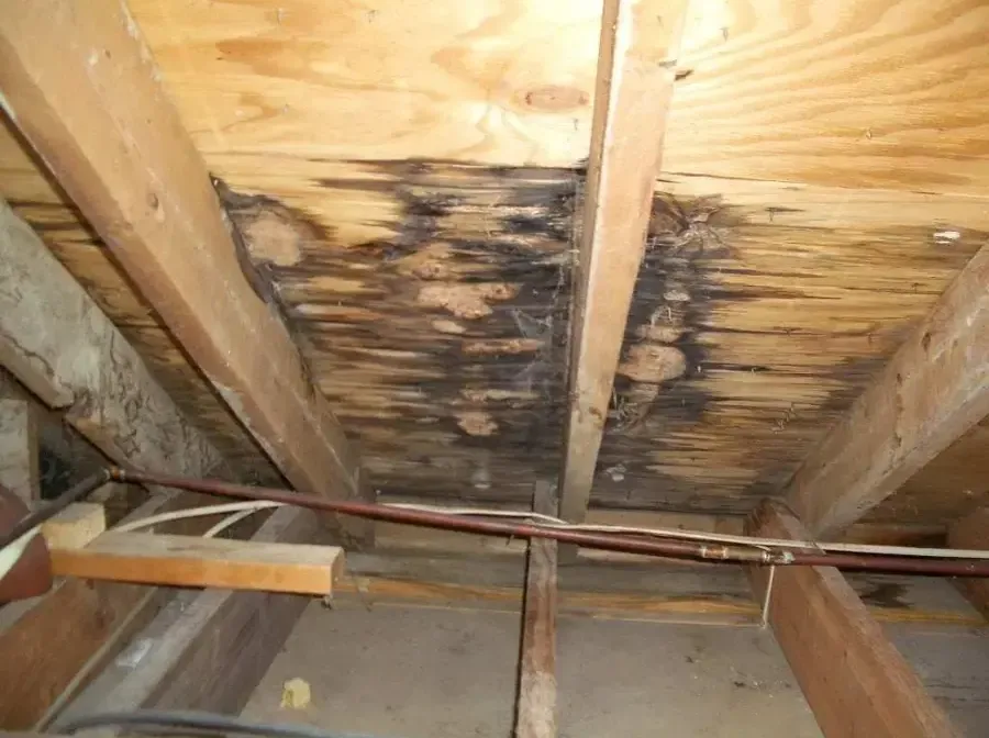 Water-stained rafters and roof decking in an attic after a roof leak